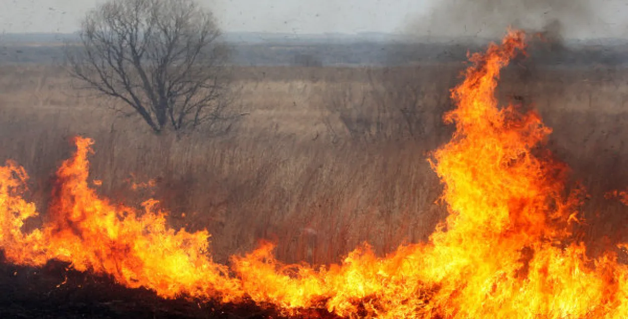 У Полацкім раёне падчас выпальвання сухой травы загінуў мужчына