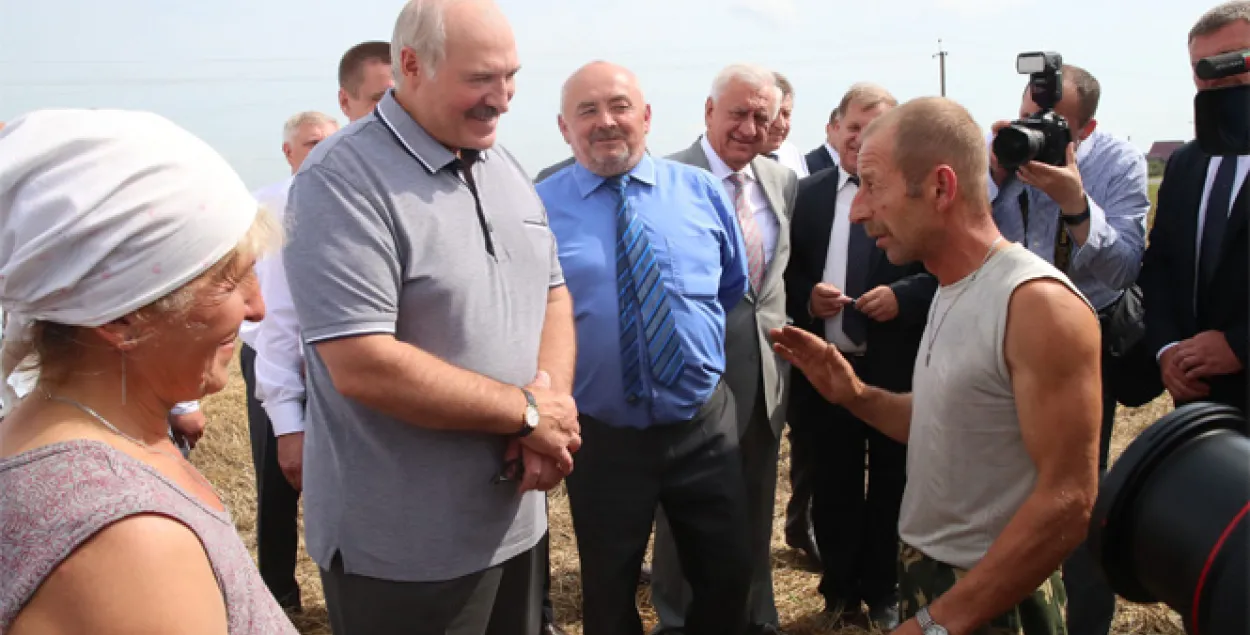 Лукашэнка: Сёлета можам сабраць 10 мільёнаў тон збожжа