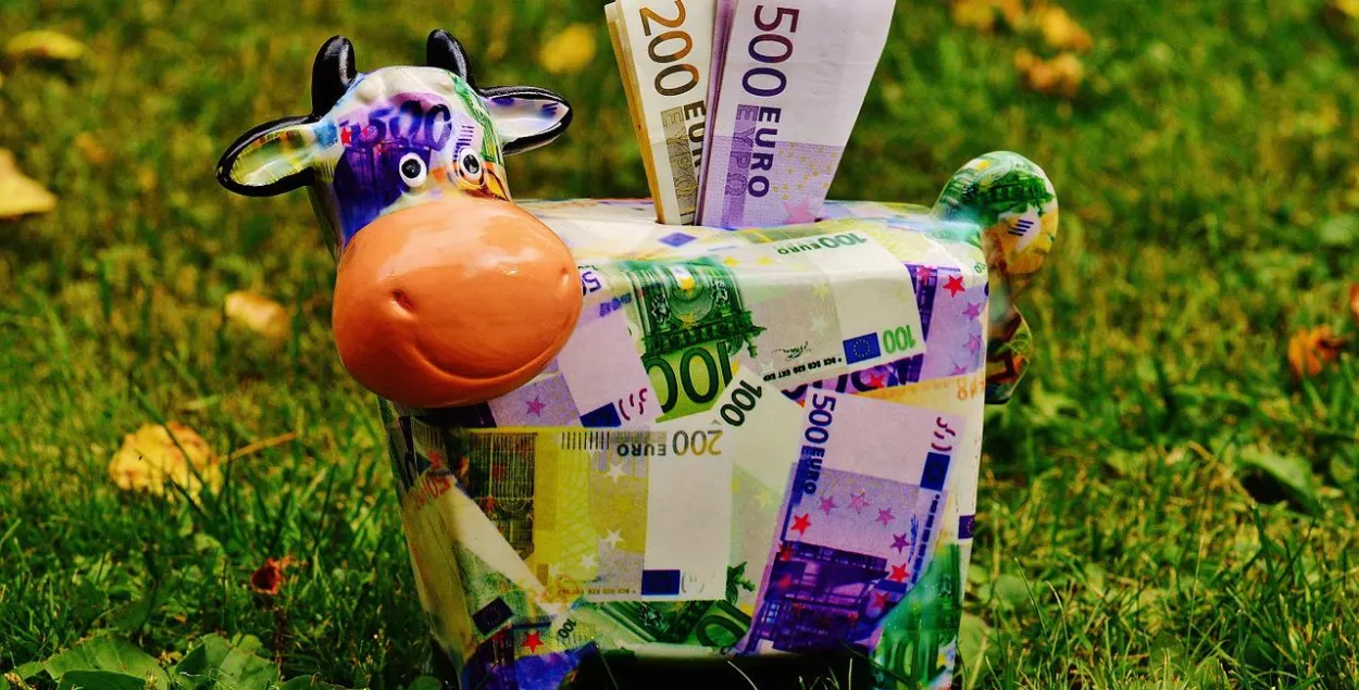 Страны СНГ не готовы отказаться от доллара и евро / Иллюстративное фото pixabay.com​