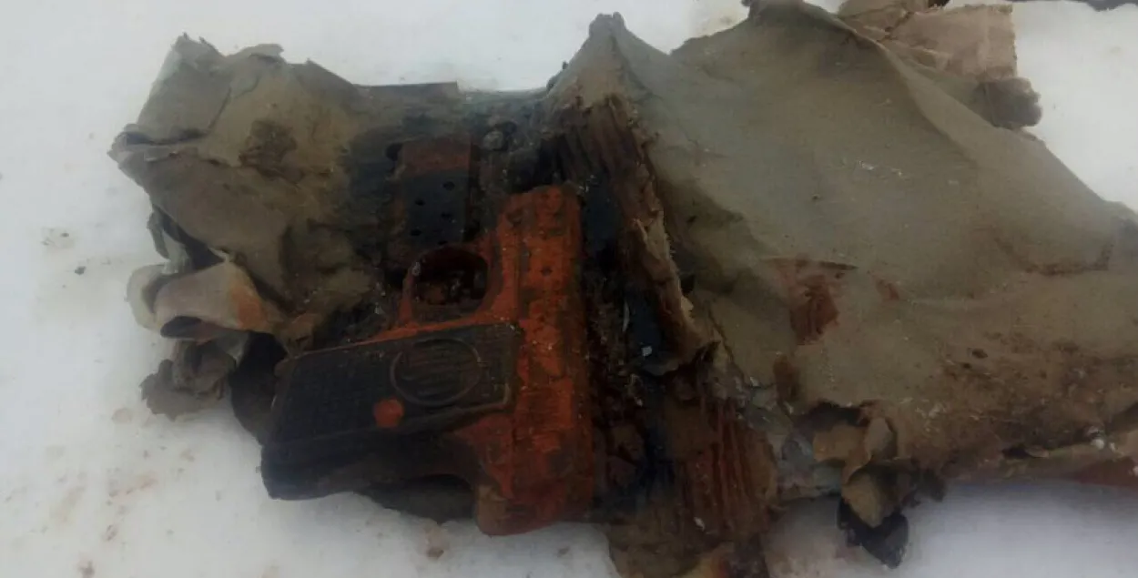 Дайверы нашли пистолет на дне Комсомольского озера в Минске