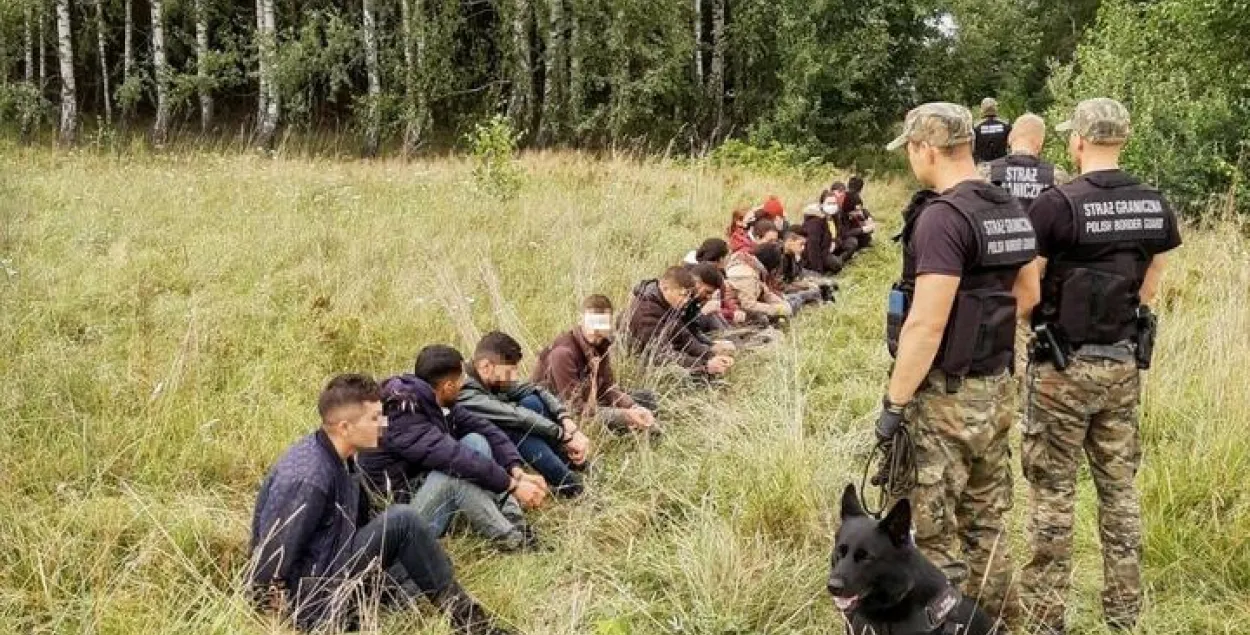 Польские пограничники задерживают мигрантов с территории Беларуси / strazgraniczna.pl