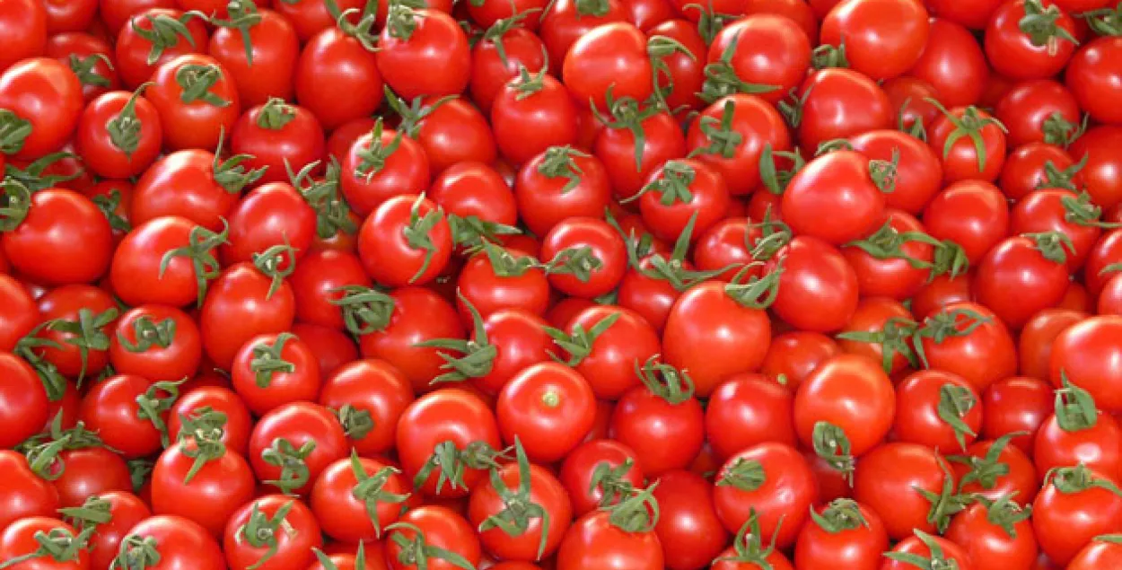 Россия временно запретила ввоз помидоров из Беларуси