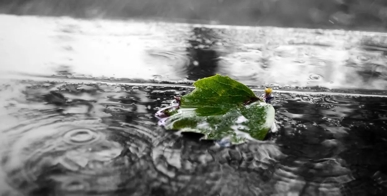 Дождливый май / pixabay.com
