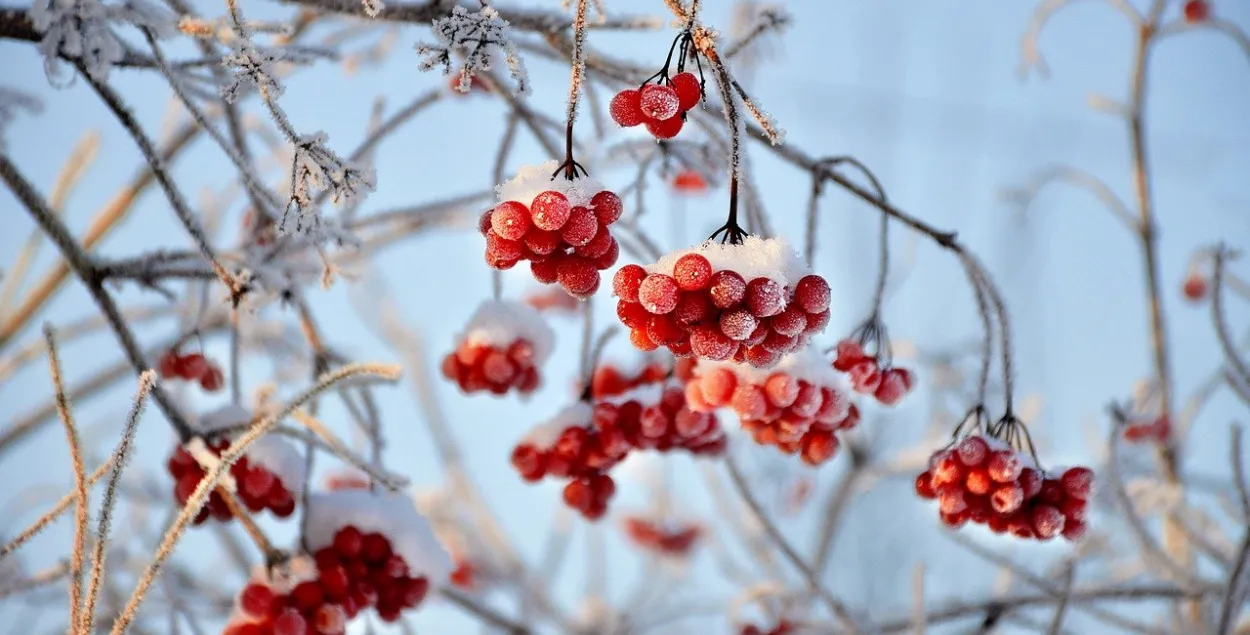 Морозы остаются в Беларуси​ / pixabay.com