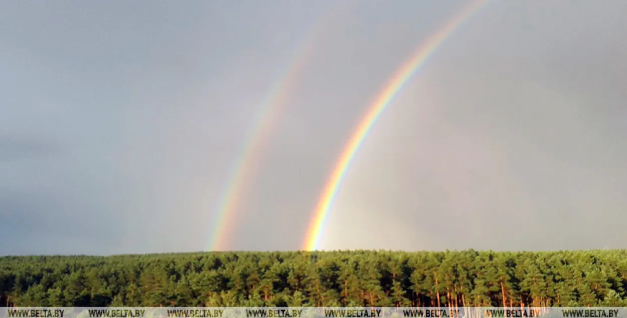 Синоптики прогнозируют в Беларуси дождливую субботу / БЕЛТА​