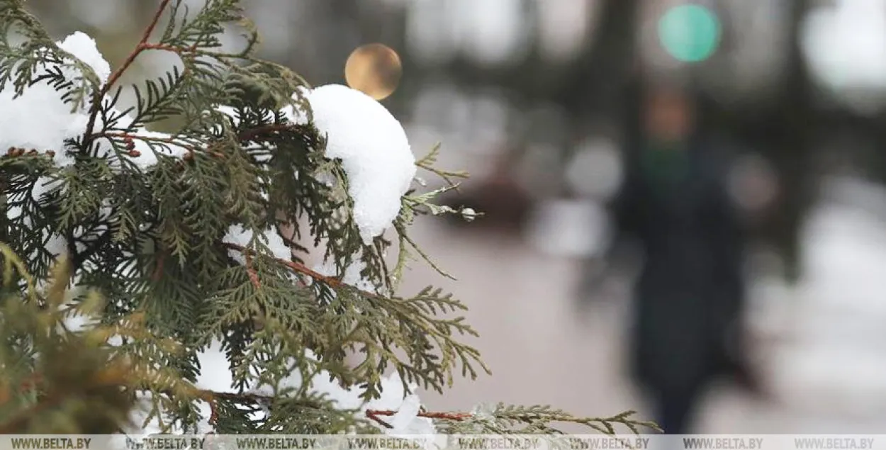 26 лютага ў Беларусі чакаецца дождж, уначы — з мокрым снегам