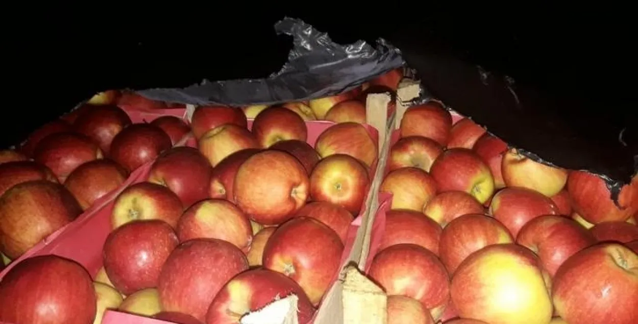 Беларус вёз у Расію кантрабандныя яблыкі пад выглядам дываноў