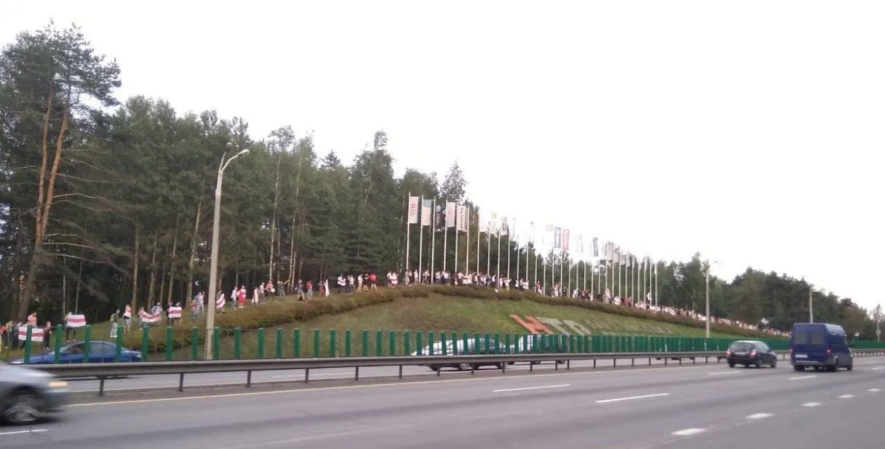 Белорусские айтишники устали протестовать: результаты опроса