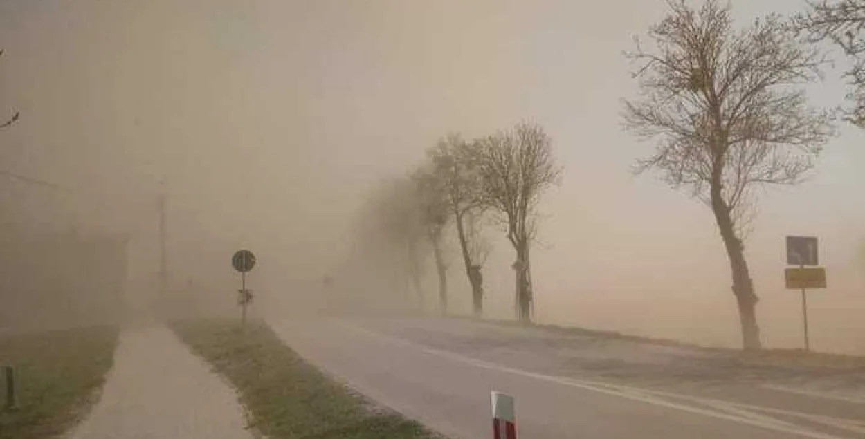 Белгидромет: накрывшая Польшу пыль из Африки Беларуси не угрожает
