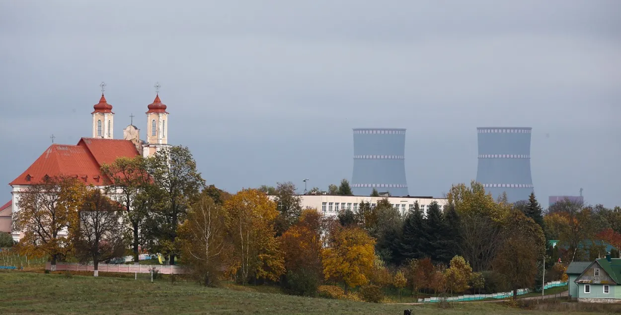 Литовские депутаты поругались из-за Белорусской АЭС