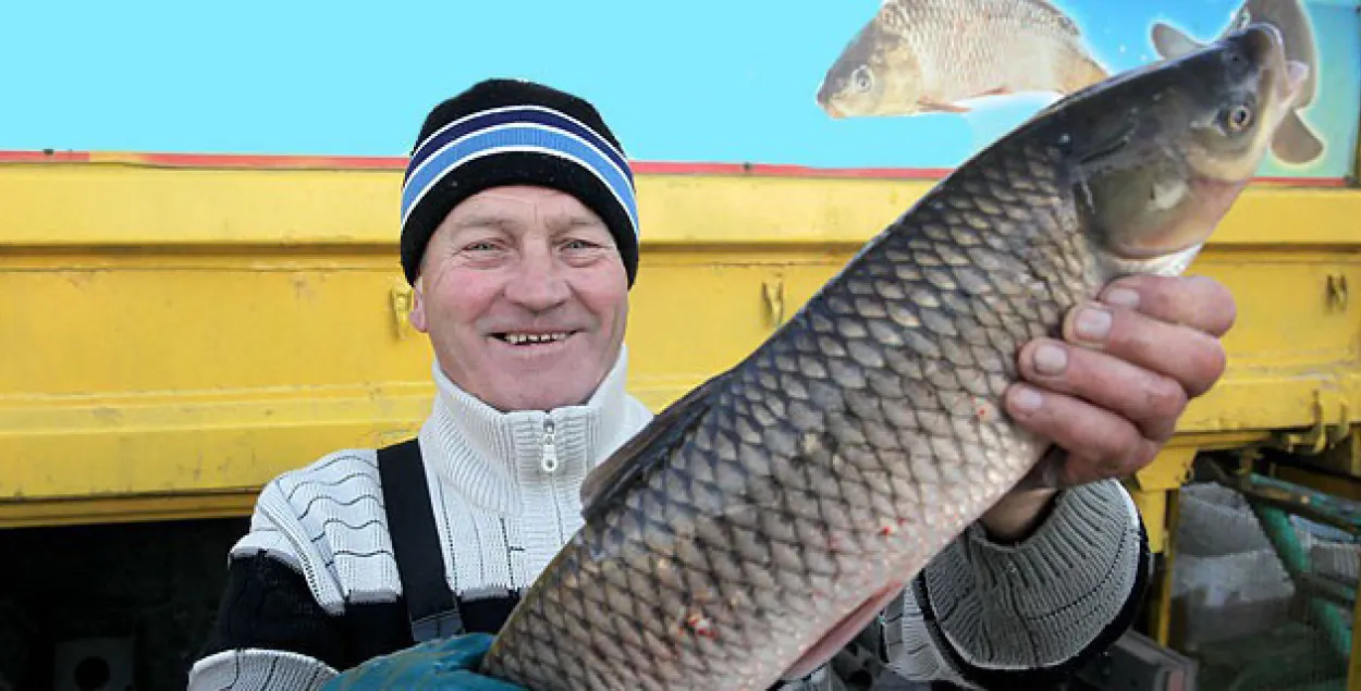 Беларусь хоча аднавіць пастаўкі рыбы ў Расію