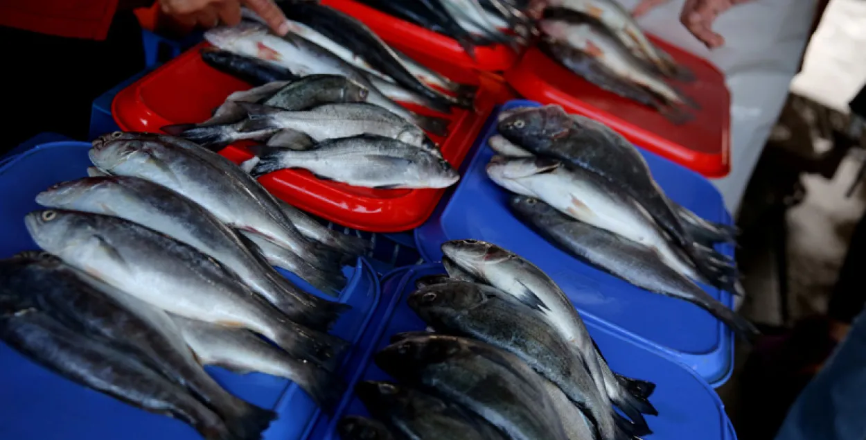 Беларусь павялічыла пастаўкі рыбы ў Расію ў 15 разоў