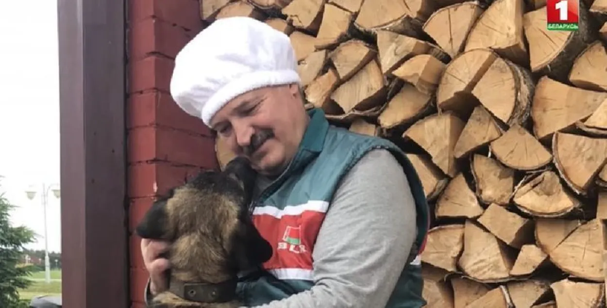 На БТ паказалі Лукашэнку з сабакам 