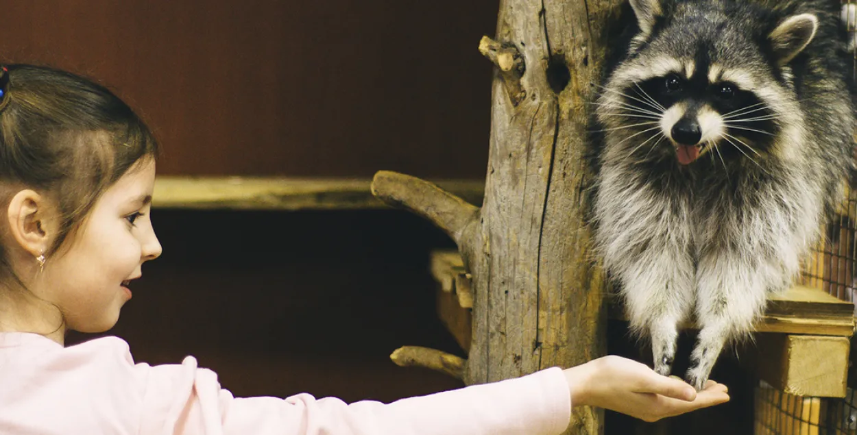 Белорусов просят взять зверушку из контактного зоопарка, но объявление — фейк