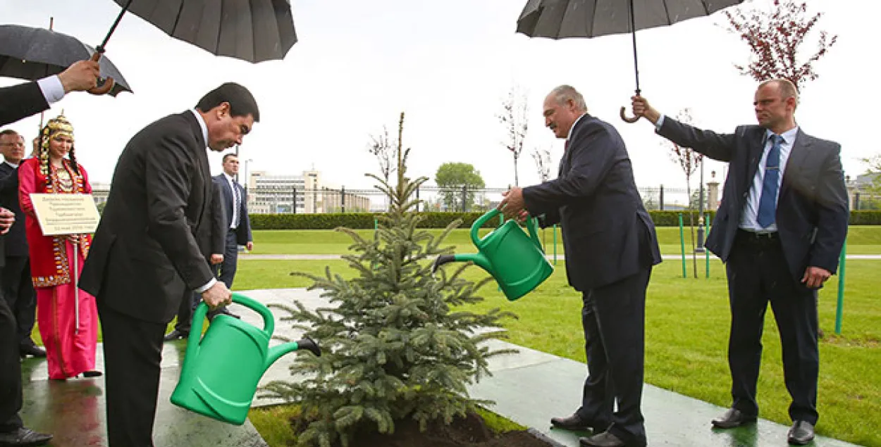 Фотафакт: Лукашэнка і Бердымухамедаў у дождж паліваюць елку