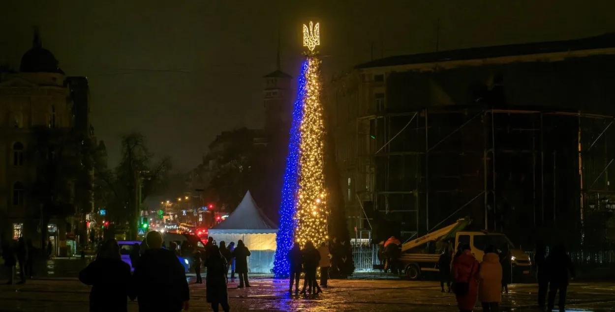 На днях в Киеве установили елку с энергосберегающими гирляндами / Reuters
