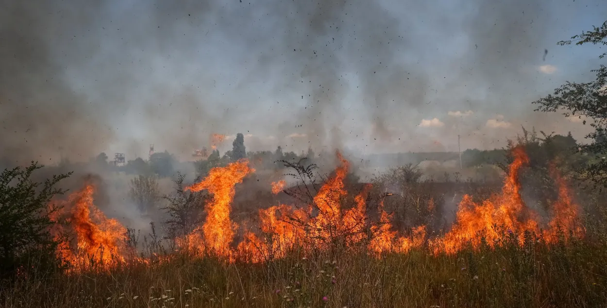 Пажар пасля абстрэлу на Данбасе​ / Reuters
