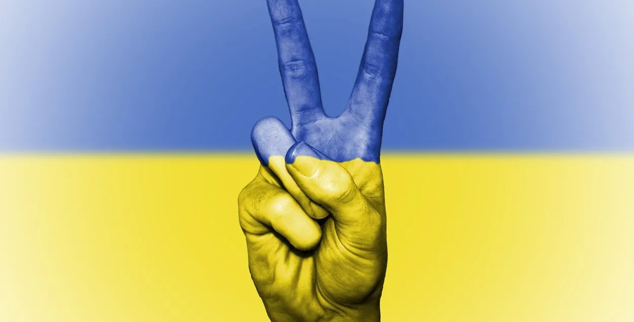 Западные политики против референдумов на востоке Украины / pixabay.com
