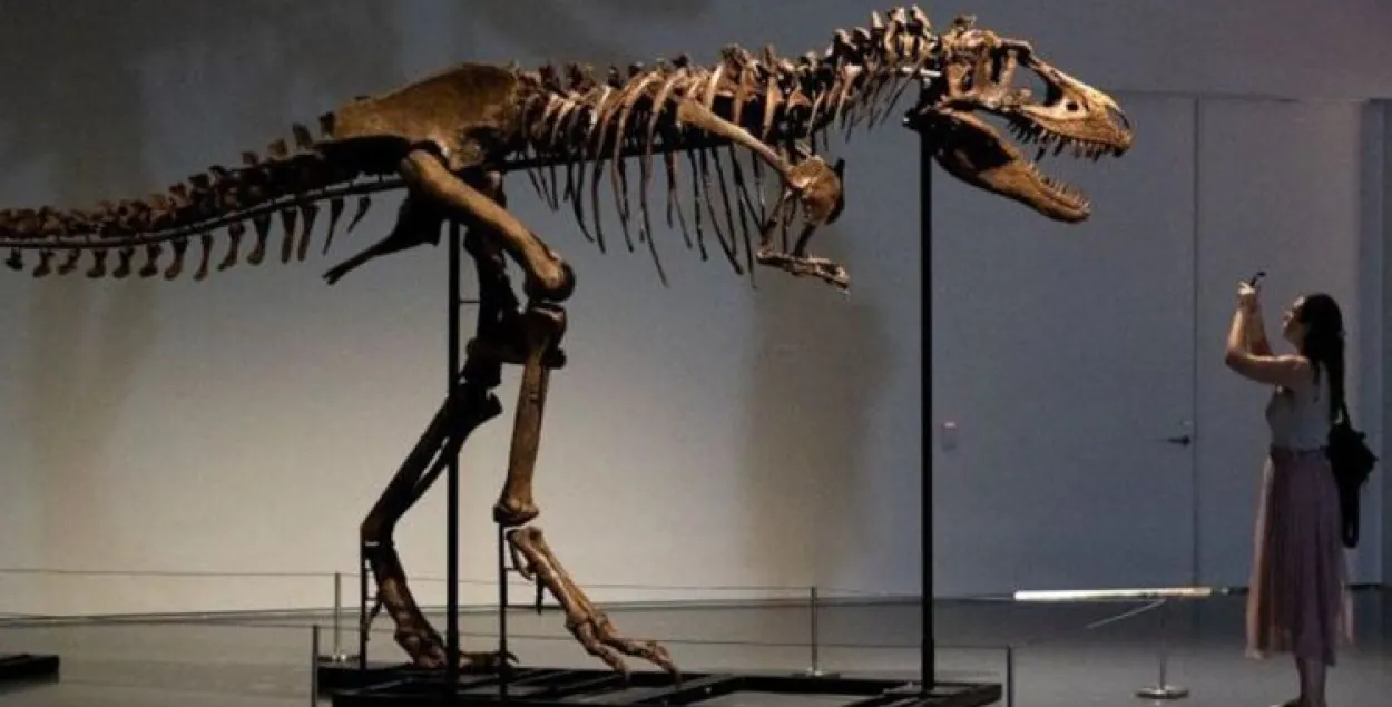 На аукционе в США продали скелет динозавра за $6 млн