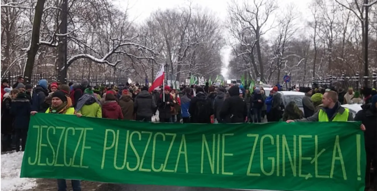 У Варшаве прайшоў марш супраць высякання Белавежскай пушчы
