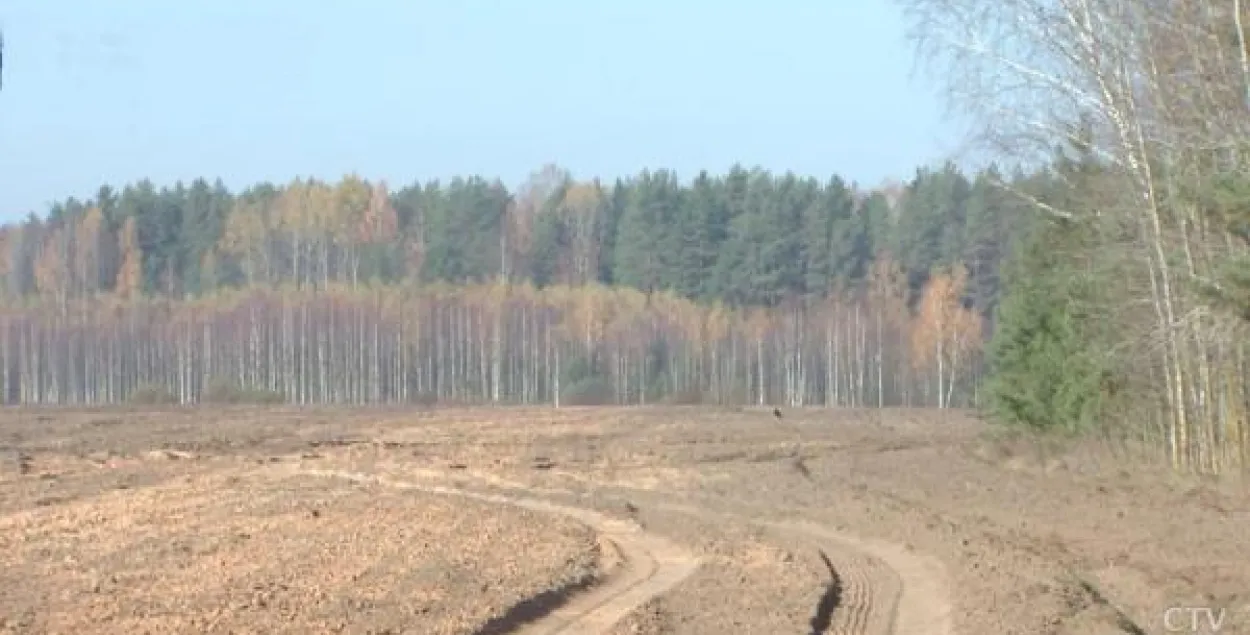Жыхары Вілейскага раёна наракаюць на непрыемны пах з палёў