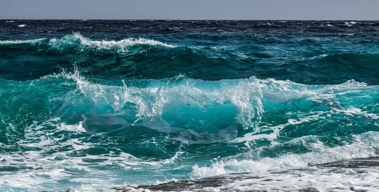 Треть акваторий моря станут охраняемыми зонами к 2030 году / pixabay
