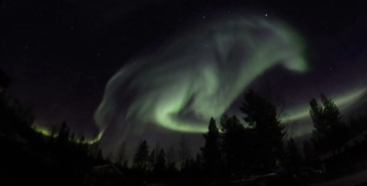 Фотафакт: У небе над Швецыяй з'явіўся ззяючы воўк