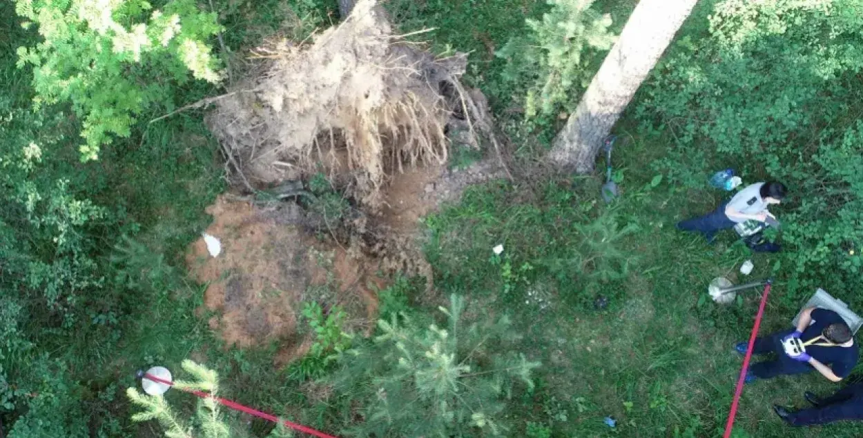 Бизнесмен убил оппонента и закопал в лесу под Смолевичами / пресс-служба СК​