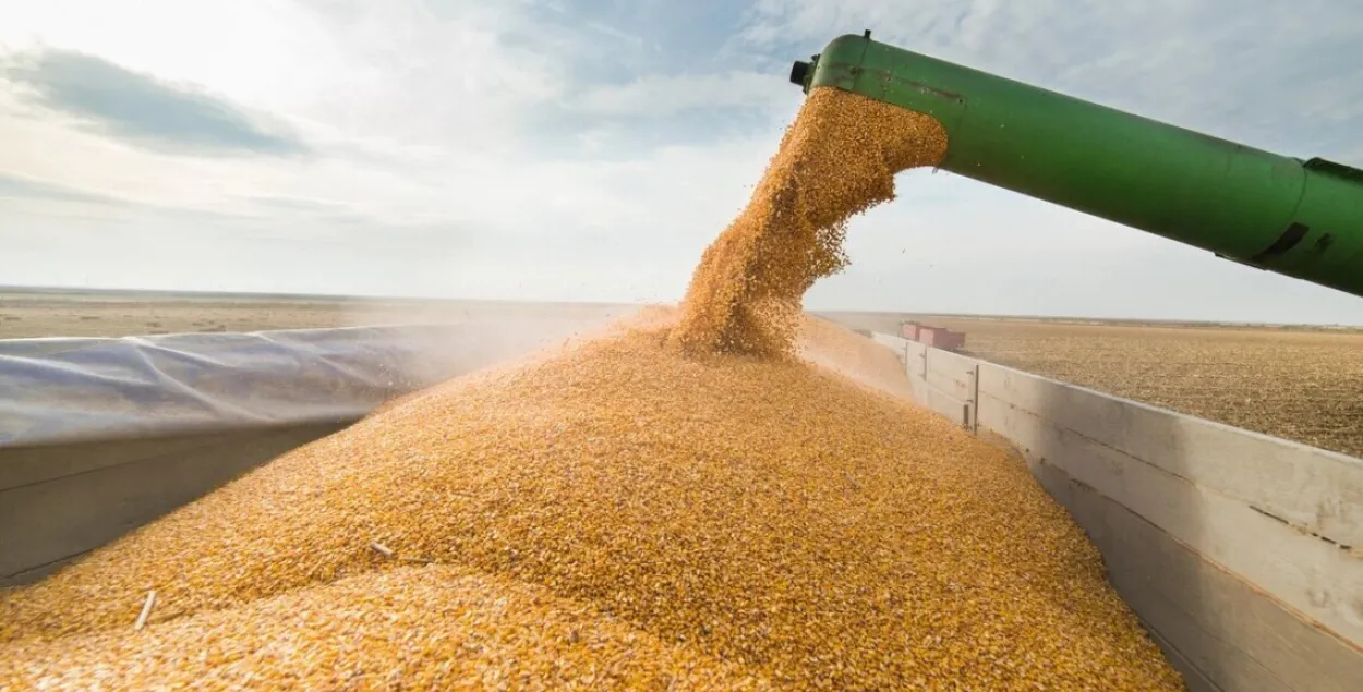 Украина нашла два альтернативных наземных маршрута для экспорта зерна