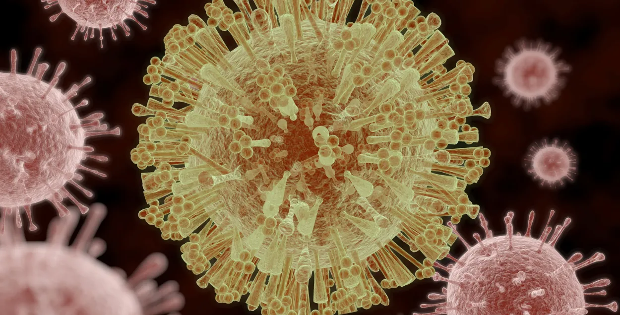 САЗ: Вірус Зіка больш не пагражае чалавецтву ў планетарным маштабе