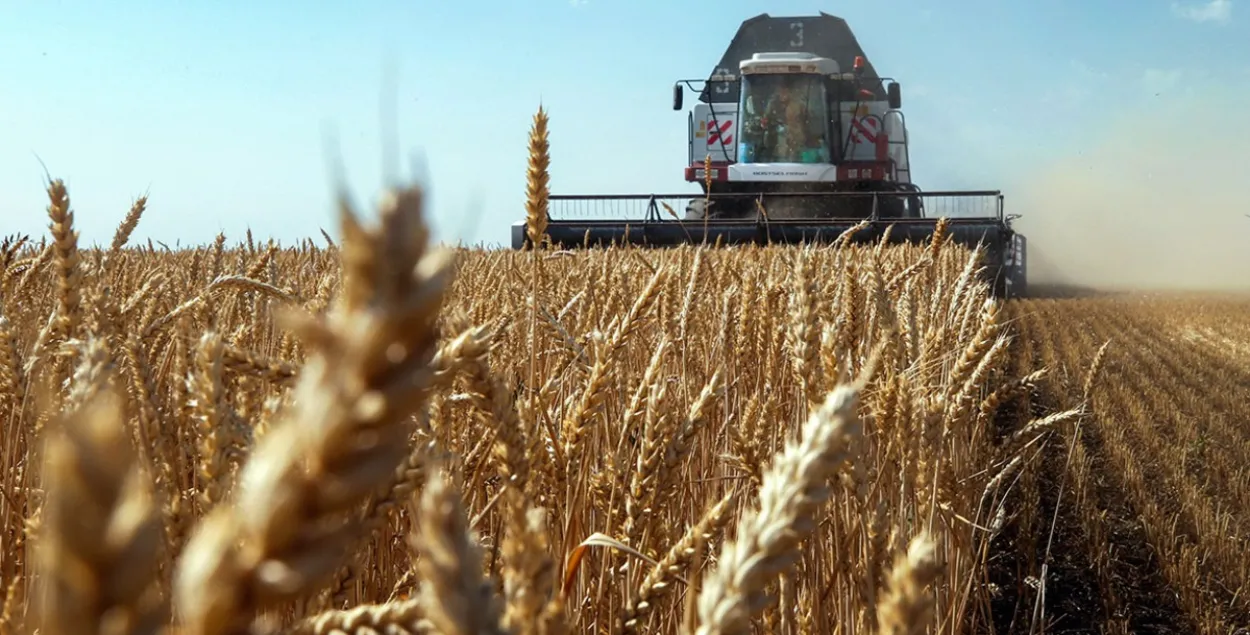Grain harvest / Valery Matytsyn / TASS