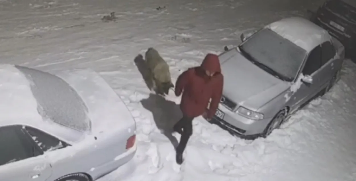 На камеру видеонаблюдения попал мужчина в красной куртке, который вел на поводке собаку