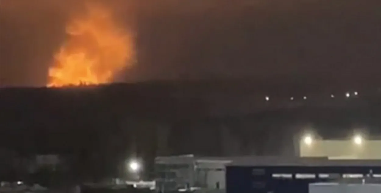 Пожар под Ижевском, скриншот видео&nbsp;
