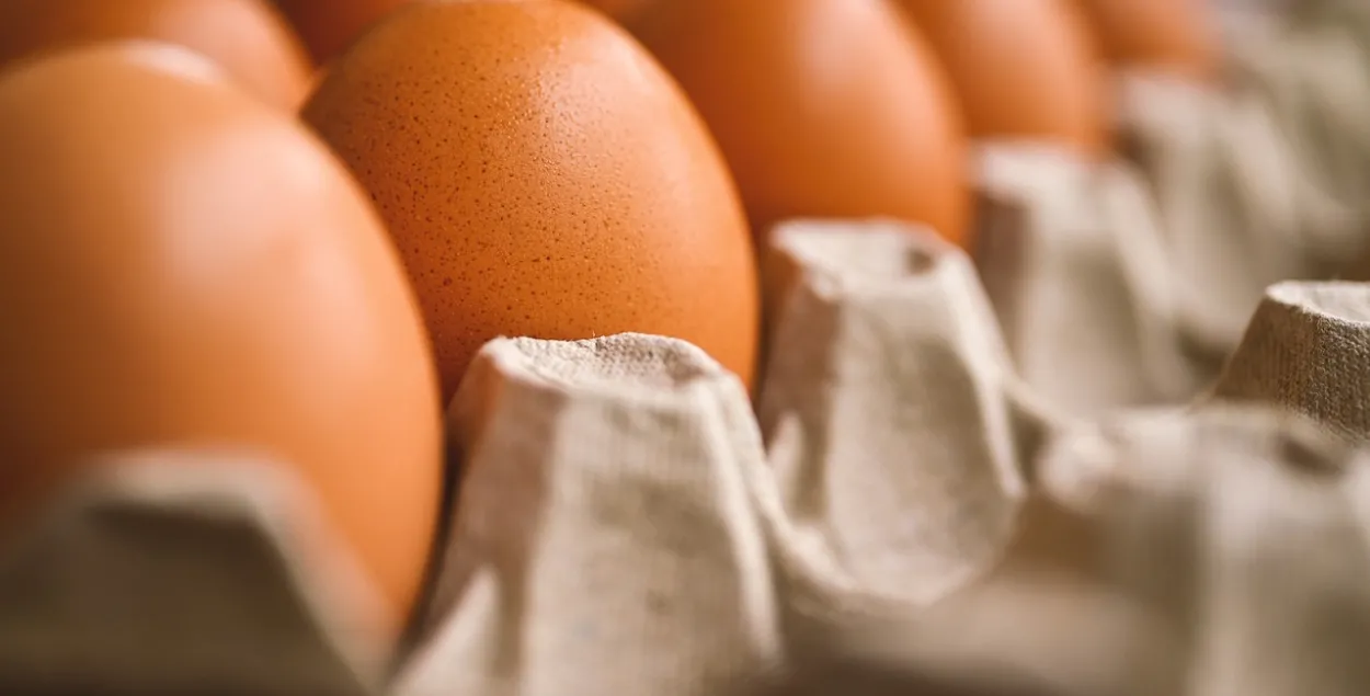 В этом году Беларусь резко увеличила экспорт яиц в РФ
