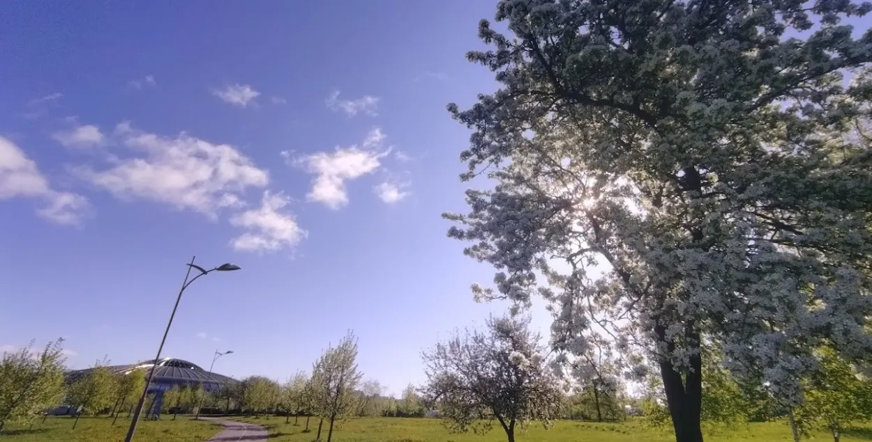 Весна, иллюстративное фото
