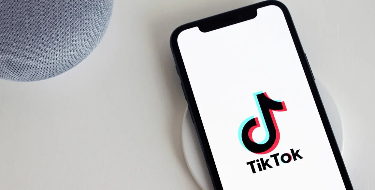 Милиция занялась могилевчанкой, которая жаловалась Лукашенко в TikTok на  милицию | Новости Беларуси | euroradio.fm