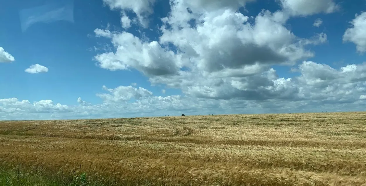 В июне в Клецком районе
