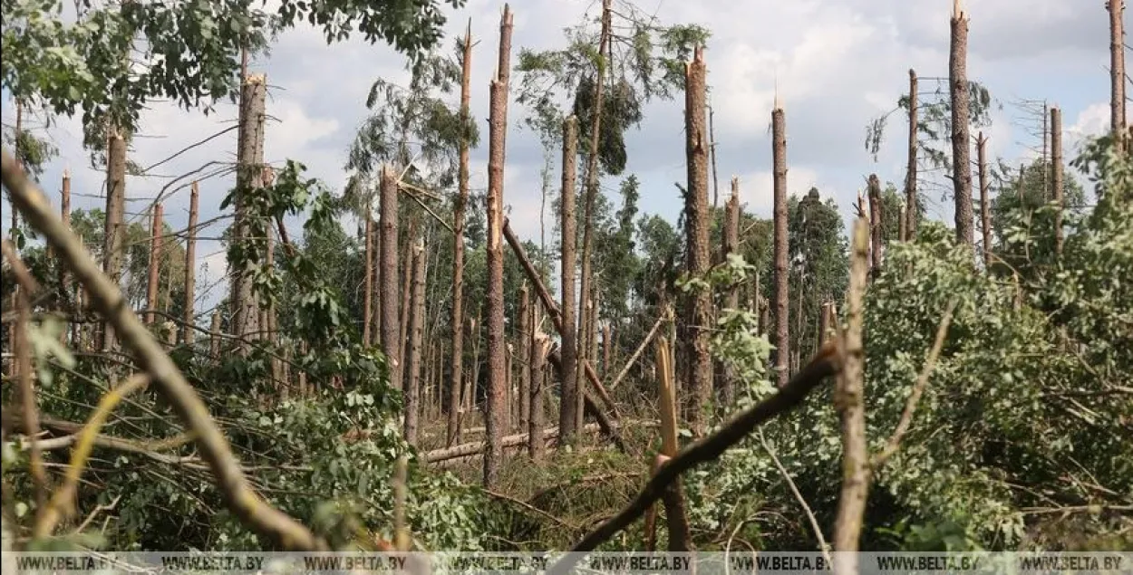 Последствия урагана в Ивьевском районе Гродненской области
