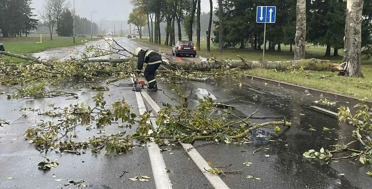 Какими были ураганы в Беларуси?
