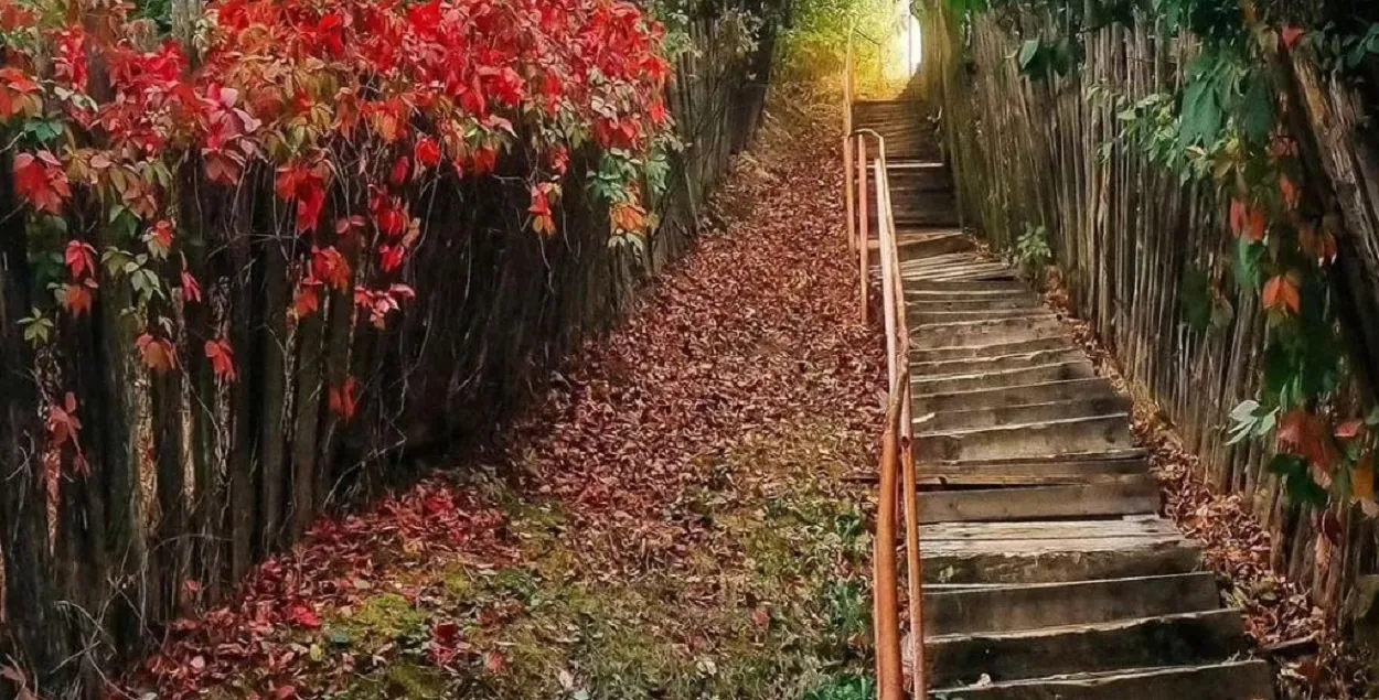 Восень у Беларусі
