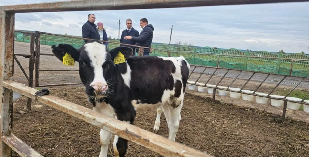 Александр Версоцкий (второй справа на заднем плане) осматривает Лидский район, 2024 год

