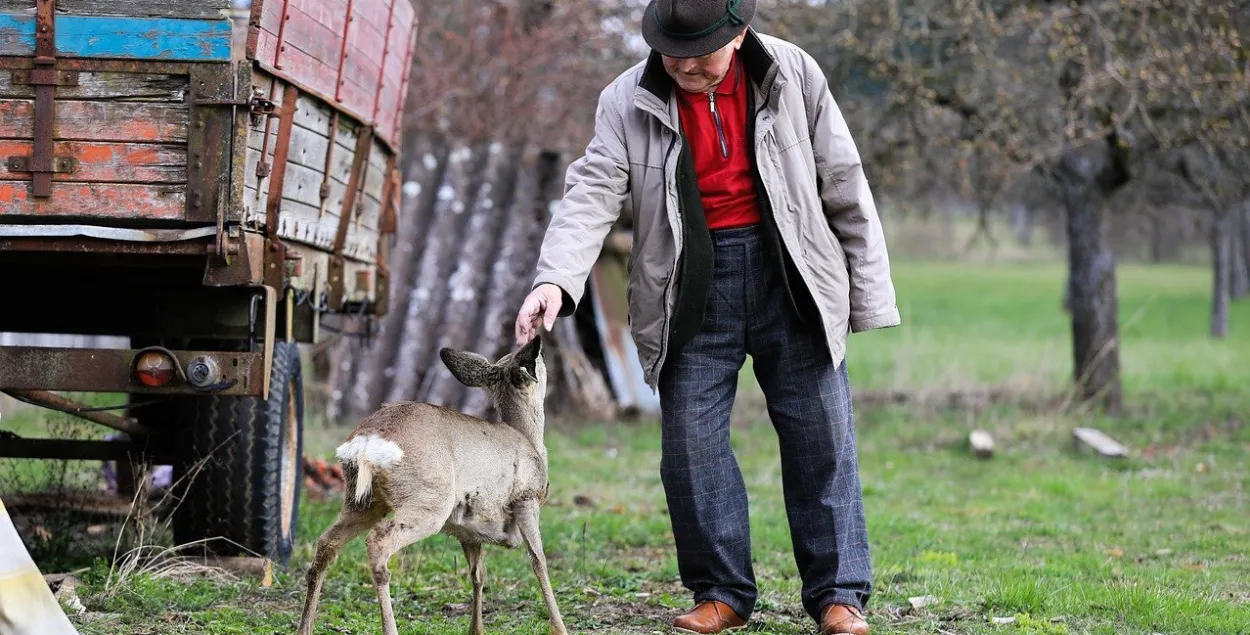 Пожилой человек, иллюстрационное фото

