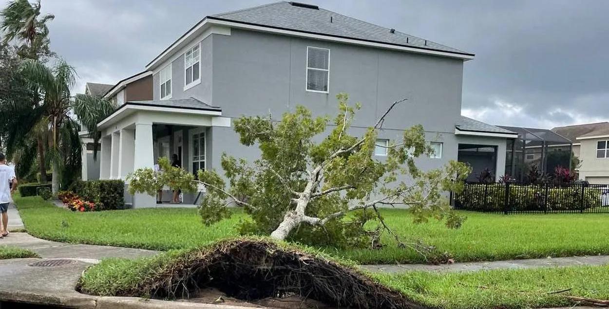 Истории белорусов, пережившие ураган

