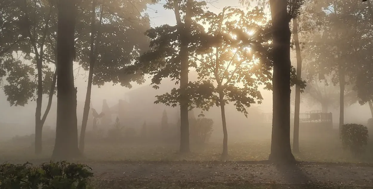 Туман у кастрычніку
