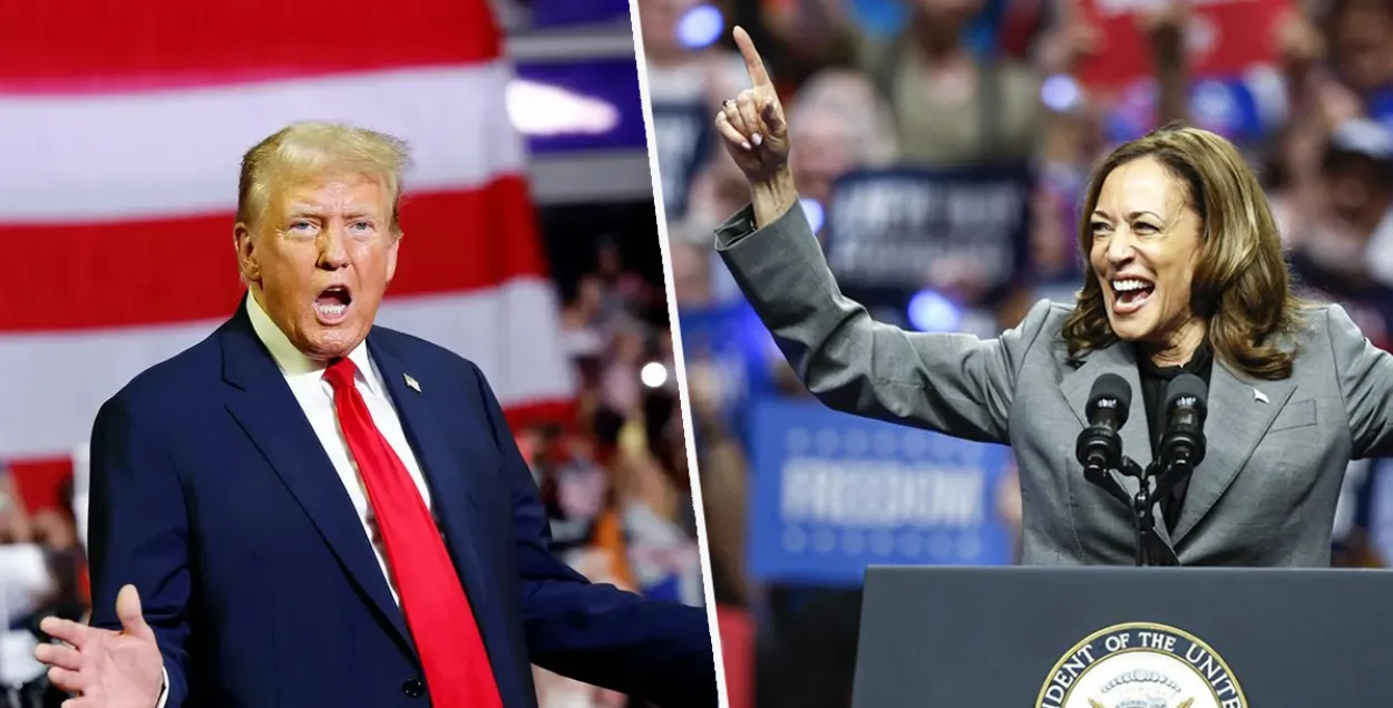 Выборы в США 2024 — кто победит, Харрис или Трамп: опросы