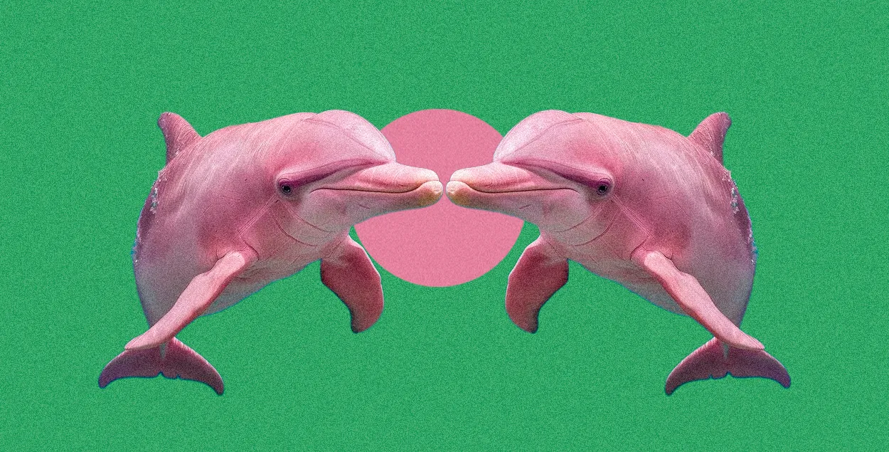 Международные новости
