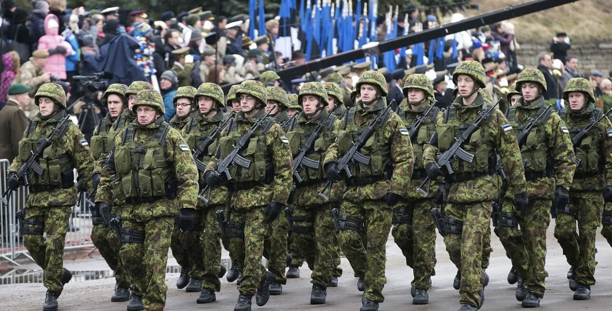 Эстонские военные
