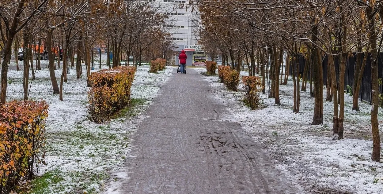 В Беларуси выпал первый снег
