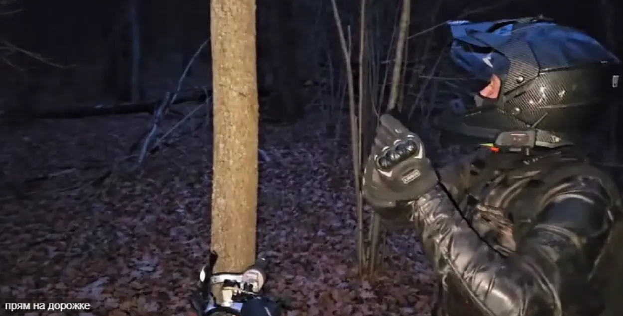 Мотоциклист в лесу
