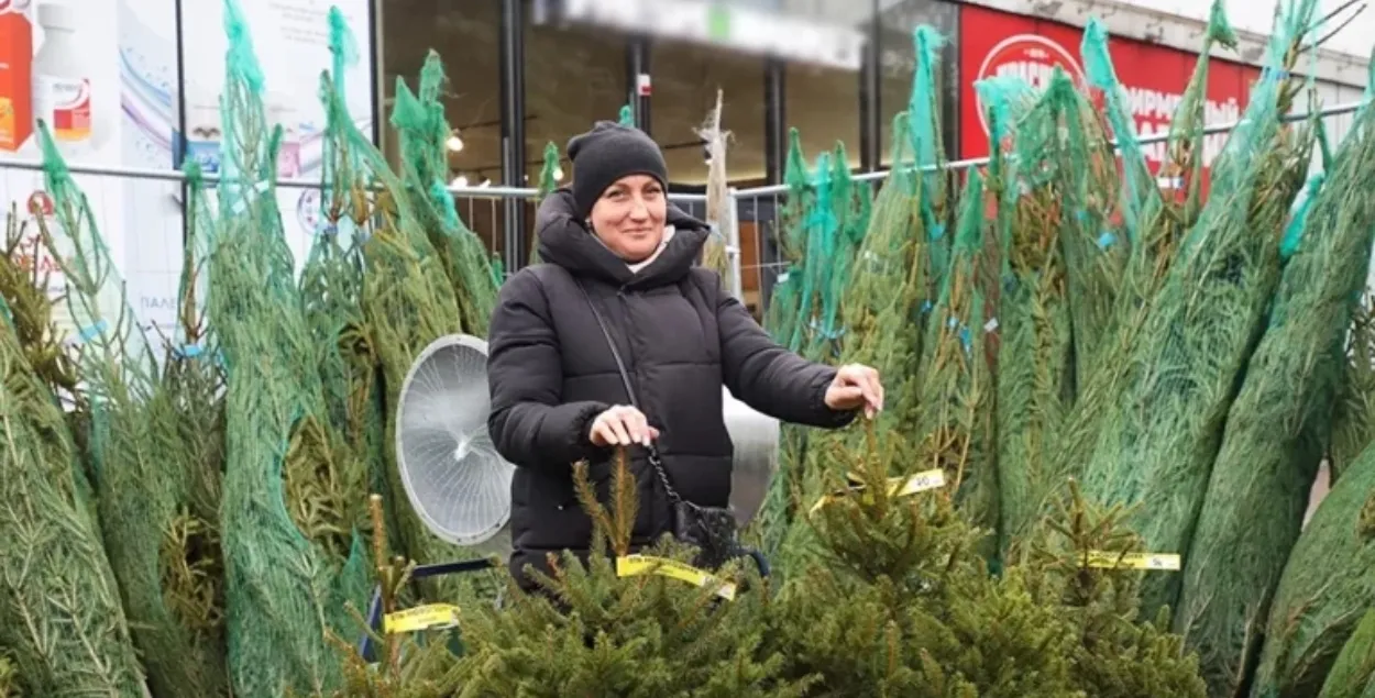 Елочный базар
